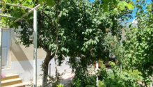 6 otaqlı Bağ evləri, Satış, Bakı, Xəzər, Koroğlu