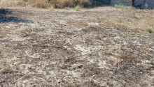 500 m2 Torpaq, Satış, Bakı, Xəzər, Koroğlu