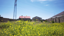 11 sot Torpaq, Satış, Bakı, Xəzər