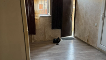 1 otaqlı Villa / Həyət evi, Satış, Xırdalan
