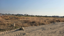 12 sot Torpaq, Satış, Bakı, Xəzər