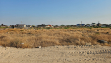 12 sot Torpaq, Satış, Bakı, Xəzər