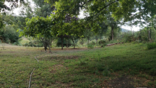 4 sot sot Torpaq, Satış, Lerik