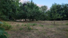 4 sot sot Torpaq, Satış, Lerik