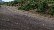 4 sot sot Torpaq, Satış, Lerik