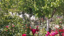 8 otaqlı Villa / Həyət evi, Satış, Bakı, Xətai, Əhmədli