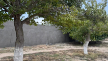 5 sot Torpaq, Satış, Bakı, Xəzər