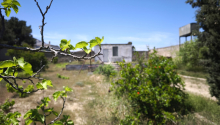 12 sot Torpaq, Satış, Bakı, Xəzər