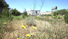 12 sot Torpaq, Satış, Bakı, Xəzər