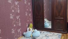 5 otaqlı Villa / Həyət evi, Satış, Bakı, Sabunçu