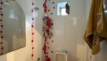 8 otaqlı Villa / Həyət evi, Kirayə (aylıq), Bakı, Binəqədi