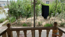 3 otaqlı Villa / Həyət evi