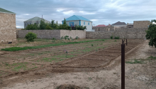 8 sot Torpaq, Satış, Bakı, Xəzər