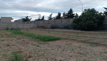 8 sot Torpaq, Satış, Bakı, Xəzər