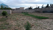 8 sot Torpaq, Satış, Bakı, Xəzər