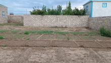 8 sot Torpaq, Satış, Bakı, Xəzər