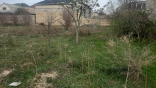 5 sot Torpaq, Satış, Bakı, Qaradağ