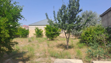 5 sot Torpaq, Satış, Bakı, Qaradağ