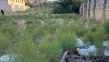 14 sot Torpaq, Satış, Bakı, Səbail