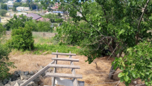 16,5 m2 Torpaq, Satış, Abşeron