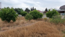 8 sot Torpaq, Satış, Bakı, Xəzər, Koroğlu