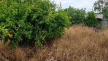 8 sot Torpaq, Satış, Bakı, Xəzər, Koroğlu