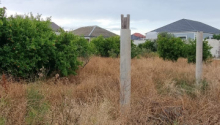 8 sot Torpaq, Satış, Bakı, Xəzər, Koroğlu