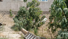 3 otaqlı Villa / Həyət evi, Satış, Abşeron