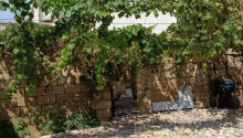 3 otaqlı Villa / Həyət evi, Satış, Abşeron