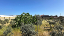 50 sot Torpaq, Satış, Bakı, Xəzər, Koroğlu