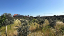50 sot Torpaq, Satış, Bakı, Xəzər, Koroğlu