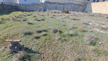 15 sot Torpaq, Satış, Bakı, Səbail