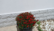 4 otaqlı Villa / Həyət evi, Satış, Bakı, Sabunçu, Koroğlu