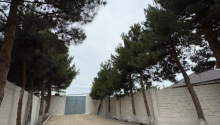 4 otaqlı Villa / Həyət evi, Satış, Bakı, Sabunçu