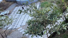 10 otaqlı Villa / Həyət evi, Satış, Bakı, Nizami
