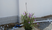 4 otaqlı Villa / Həyət evi, Satış, Bakı, Sabunçu, Koroğlu