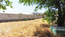 6 sot Torpaq, Satış, Bakı, Xəzər