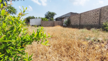 6 sot Torpaq, Satış, Bakı, Xəzər