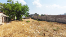 6 sot Torpaq, Satış, Bakı, Xəzər