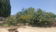 6 sot Torpaq, Satış, Abşeron
