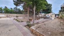 5 otaqlı Bağ evləri, Satış, Bakı, Xəzər