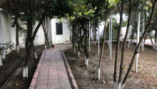 6 otaqlı Villa / Həyət evi, Satış, Xaçmaz