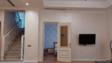 8 otaqlı Villa / Həyət evi, Satış, Lənkəran