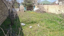 4 sot Torpaq, Satış, Abşeron