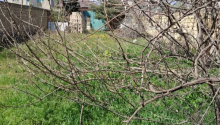 4 sot Torpaq, Satış, Abşeron
