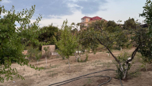 12 sot Torpaq, Satış, Abşeron