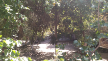 5 sot Torpaq, Satış, Bakı, Sabunçu