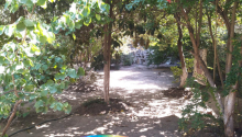 5 sot Torpaq, Satış, Bakı, Sabunçu