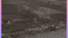 3 sot Torpaq, Satış, Abşeron