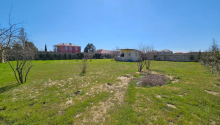 12 sot Torpaq, Satış, Abşeron